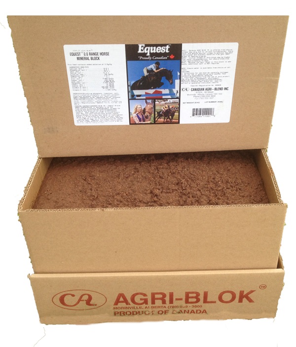 Equest 88 Horse Mineral Lone Star Tack